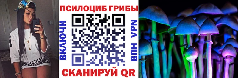 что такое   Волосово  Псилоцибиновые грибы MAGIC MUSHROOMS 